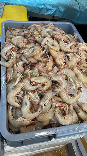 Ah Kiat Fresh Fish Stall - Hospitality and gastronomy