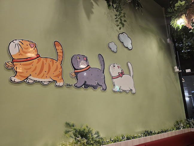 Comentarii opinii despre Meow Dessert