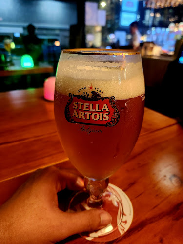 Wild Amber - Hospitality and gastronomy