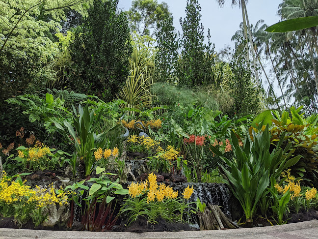 Opinii despre The Halia at Singapore Botanic Gardens în Singapore - Hospitality and gastronomy