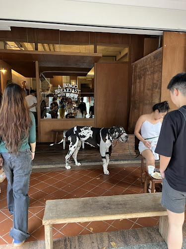 Opinii despre 174BINGO în Singapore - Hospitality and gastronomy