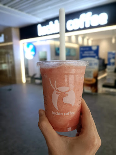 Comentarii opinii despre luckin coffee - Robinson 77