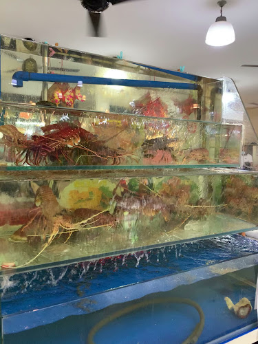 Blk 107 Serangoon North Ave 1, #01-671, Singapore 550107