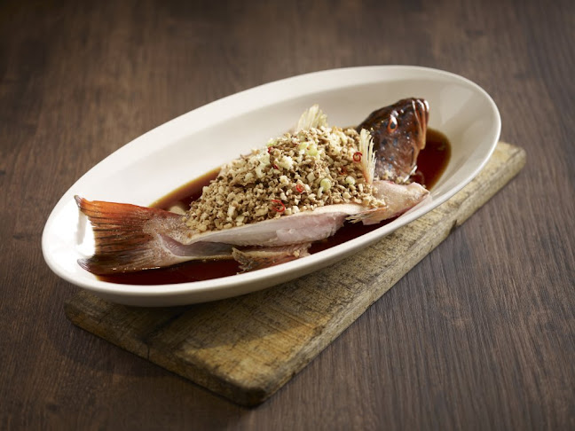 Seafood Paradise - Hospitality and gastronomy