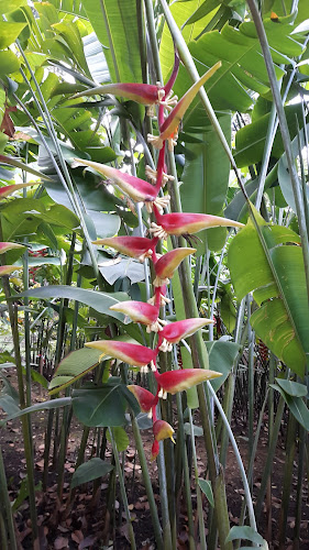 The Halia at Singapore Botanic Gardens - Hospitality and gastronomy