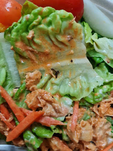 Opinii despre Simply Wrapps în Singapore - Hospitality and gastronomy