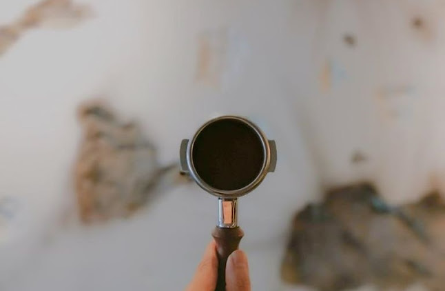 The Wired Monkey SG (The Hole) - Singapore