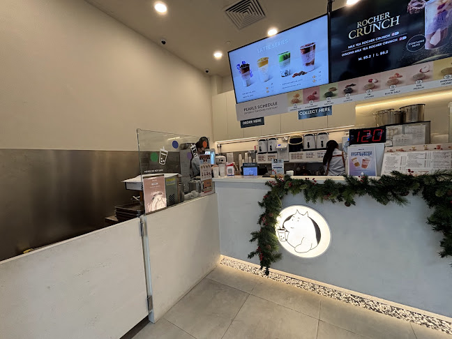 Hollin Singapore One Holland Village - Hospitality and gastronomy