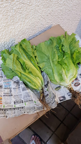 Serangoon Market - Hospitality and gastronomy