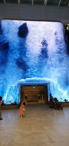 Level3, 78 Airport Blvd., #03-229 03-229, 819666