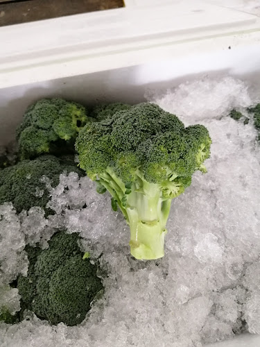 Yong Lee Merchandise Co. - Singapore's Fresh Vegetable Supplier - Singapore