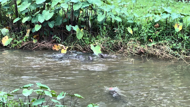 Burp Kitchen & Bar (Bishan Park) - Hospitality and gastronomy