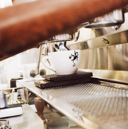 Comentarii opinii despre The Wired Monkey SG (The Hole)