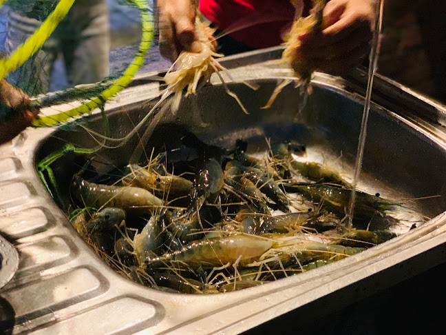 Banyan Beer Garden - Hospitality and gastronomy