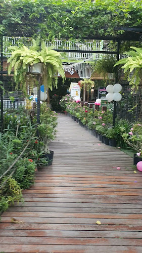 Lucky Saigon Café - Hospitality and gastronomy