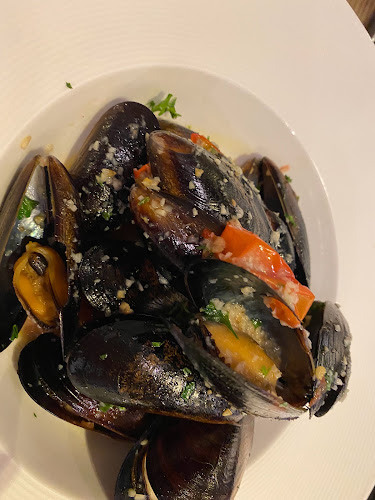 Cibo Italiano - Hospitality and gastronomy