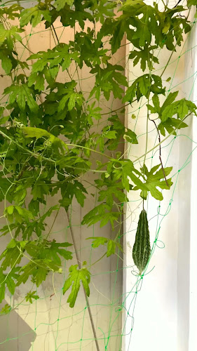 25 Dempsey Rd, #01-04, Singapore 249670