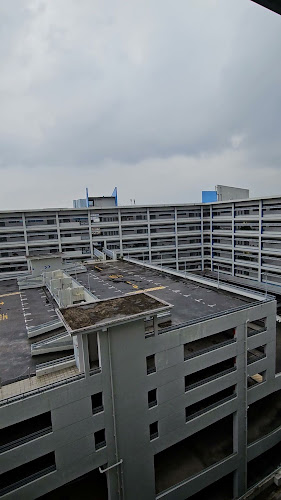 Opinii despre Ji Tuo Hong Kong Style Dim Sum în Singapore - Hospitality and gastronomy