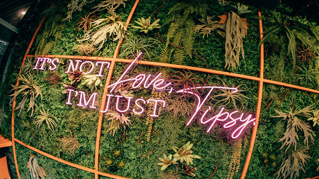 Comentarii opinii despre Tipsy Bunny