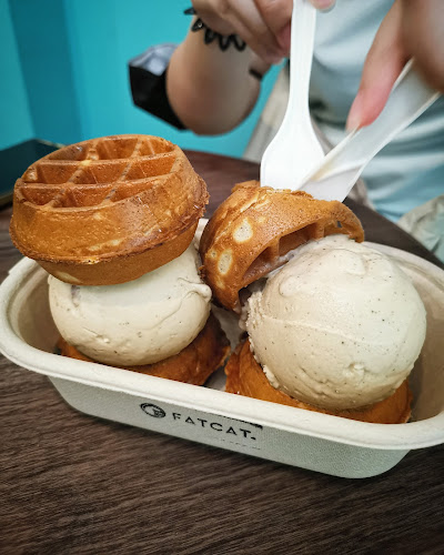 FATCAT Ice Cream & Coffee Boutique - Singapore