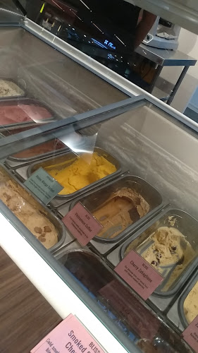 The Dancing Elephant Ice Cream - Hospitality and gastronomy