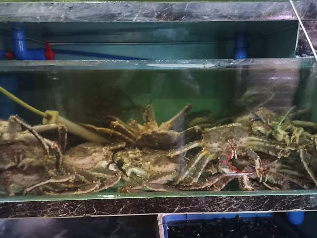 Shun De Seafood Porridge Claypot - Geylang East - Hospitality and gastronomy