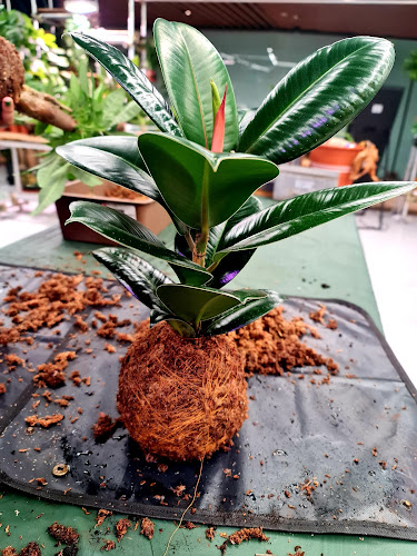 181 Orchard Rd, #03-23 Orchard Central Singapore 238896