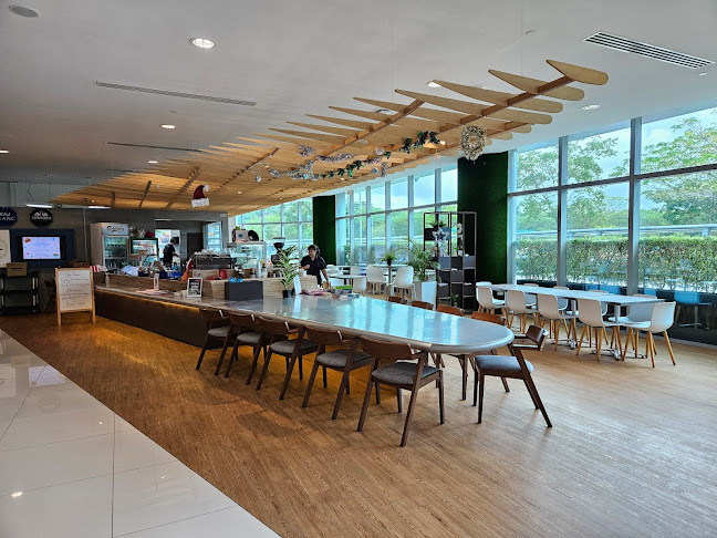 Comentarii opinii despre Fly by Shaker Lakers