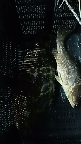 Comentarii opinii despre Bistro At The Park