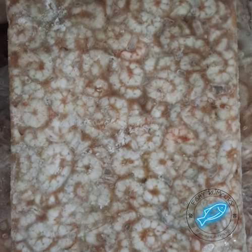 Comentarii opinii despre Fishy Rumours