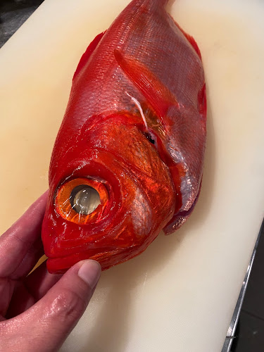 371 Beach Rd, B1-45 City Gate, Singapore 199597