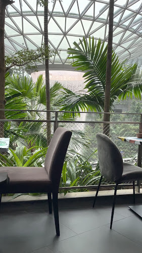 Opinii despre ActionCity Cafe în Singapore - Hospitality and gastronomy