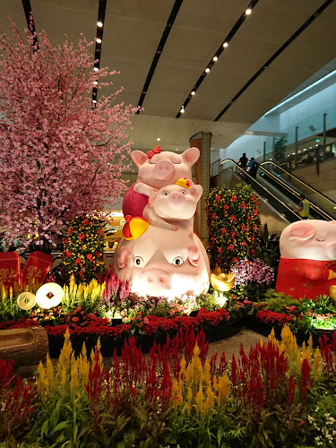 Opinii despre Simply Wang în Singapore - Hospitality and gastronomy