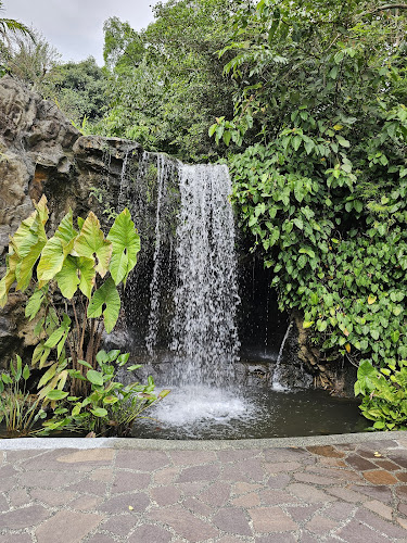 Opinii despre The Halia at Singapore Botanic Gardens în Singapore - Hospitality and gastronomy