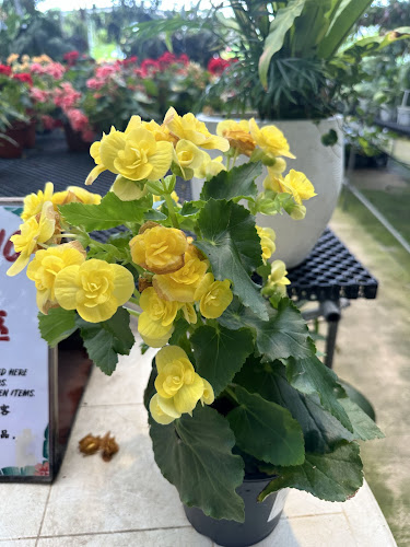 2 Jurong Gateway Rd, Singapore 608512