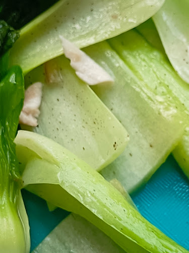 Comentarii opinii despre Selesa sedap chicken rice