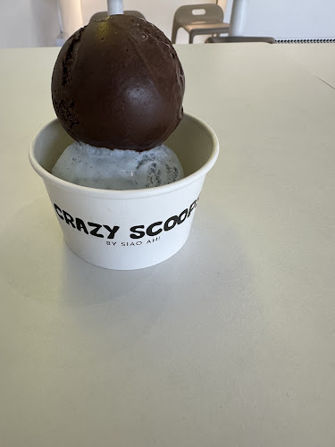 Crazy Scoops - Hospitality and gastronomy