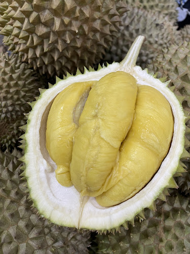 Jiak Durian Mai - Hospitality and gastronomy