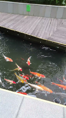 The Lawn Cafe (Dog-Friendly!)