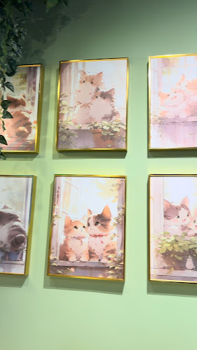 Meow Dessert - Hospitality and gastronomy