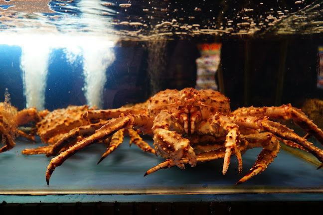 Opinii despre Forum Seafood Village Restaurant în Singapore - Hospitality and gastronomy