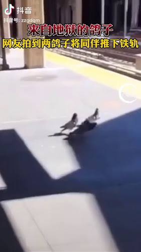 Opinii despre Eastern Harvest Foods (Singapore) Pte Ltd în Singapore - Hospitality and gastronomy