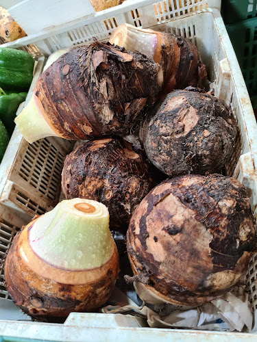 Market - Hospitality and gastronomy