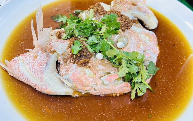 TOTOFISH 多多魚 (532 AMK Ave 10) - Singapore