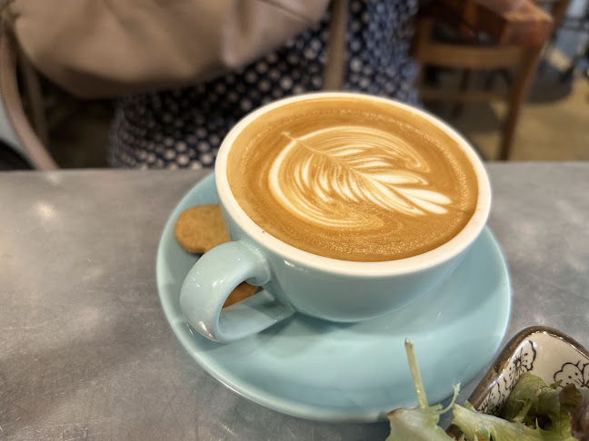 Brunches Cafe - Hospitality and gastronomy