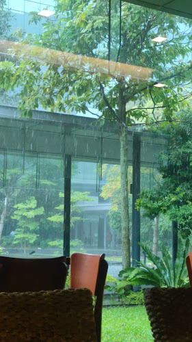 Opinii despre Khansama @ Pasir Panjang în Singapore - Hospitality and gastronomy