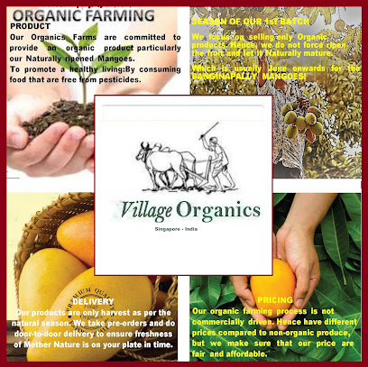 Village Organics
