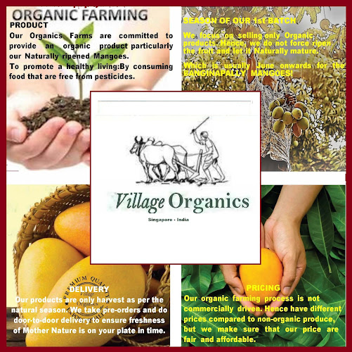 Village Organics - Singapore
