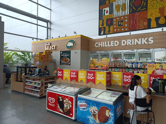 Shell Cafe - Hospitality and gastronomy