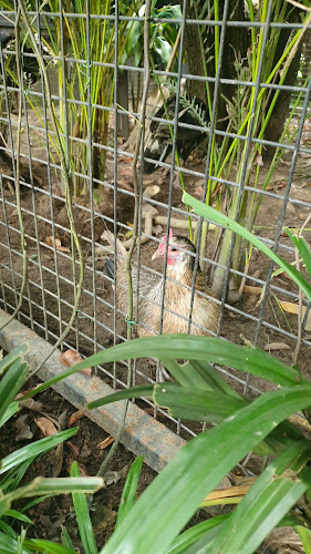 356 Tanglin Rd, Singapore 247674